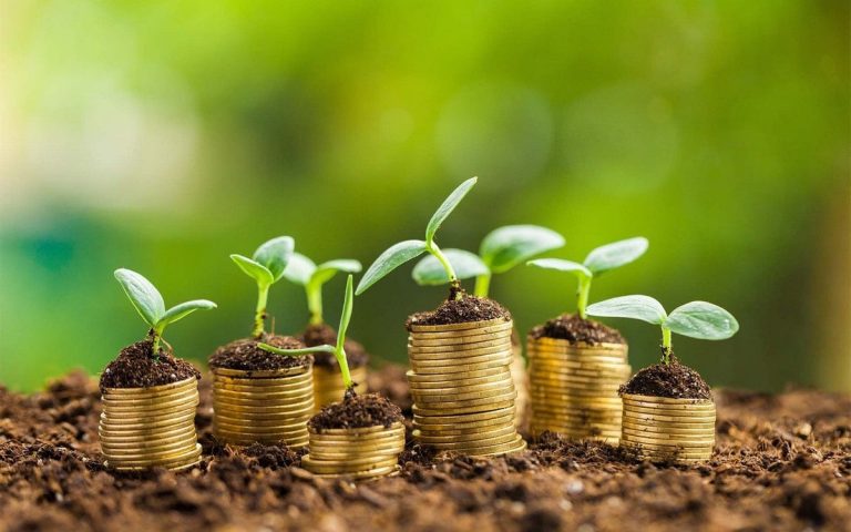 The Cost of Transitioning from Plastic to Biodegradable Alternatives: What You Need to Know